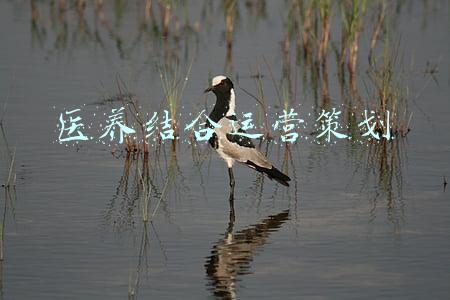 医养结合宣传(太原市3项医养结合宣传作品获奖)