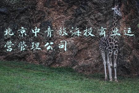 北京中青旅置业集团有限公司(北京中青旅置业（集团）有限公司来长宁考察)