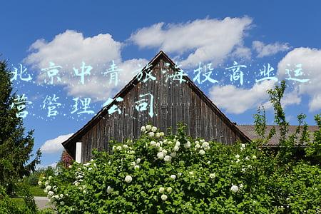 北京中青旅大厦(北京CBD商圈中青大厦楼盘6月写字楼的租金7.75元/㎡·天，出售价格55751元/㎡)