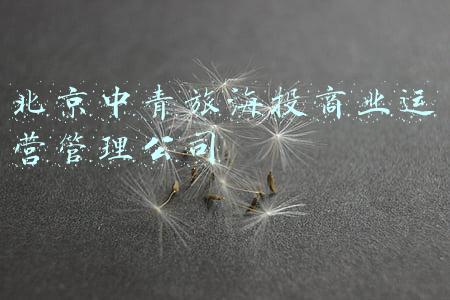 北京中青旅海投商业运营管理公司