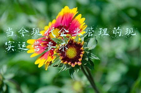 现代企业管理(什么是现代企业管理？)