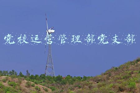 党校运营管理部党支部