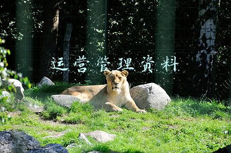 运营管理资料