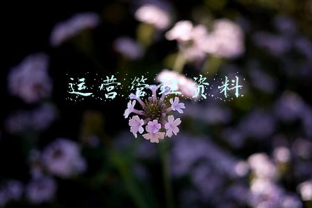 运营管理资料