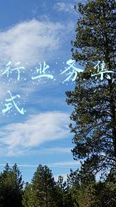 银行运行机制及管理模式(安龙农商银行：“四机制四管理”强服务质效)