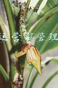 开发公司运营部职责(某投资开发公司组织架构优化与人力资源开发咨询项目纪实)