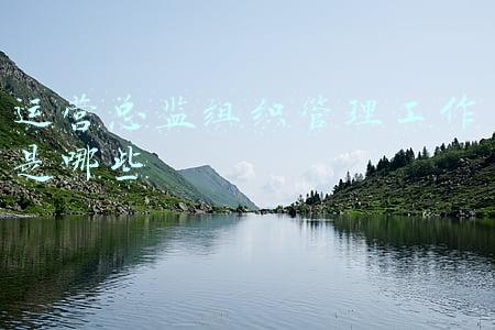 运营总监组织管理工作是哪些
