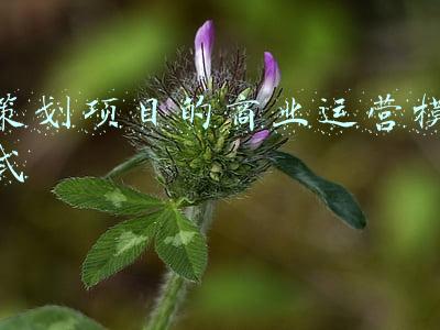 策划项目的商业运营模式