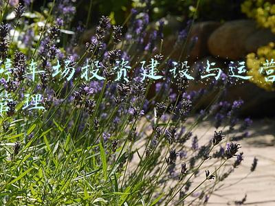 停车场建设与城市管理(加强停车场建设，缓解停车难……市民说出这些心里话)