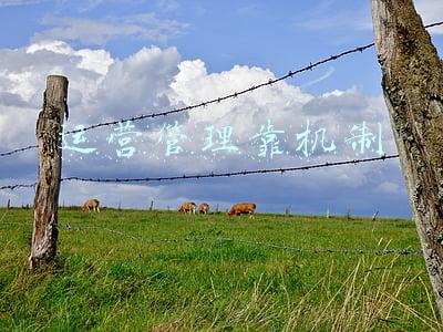 运营管理模式(华为管理模式和案例分析，你离世界500强差什么—果果圈企业管理)