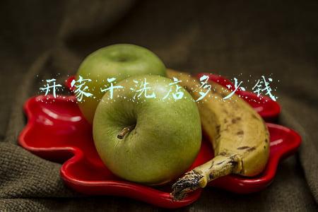开一家干洗店大概投资多少钱-开一家干洗店