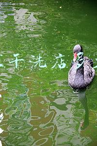 开家干洗店多少钱