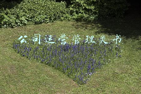 公司运营管理类书