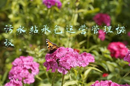 污水站承包运营管理协议