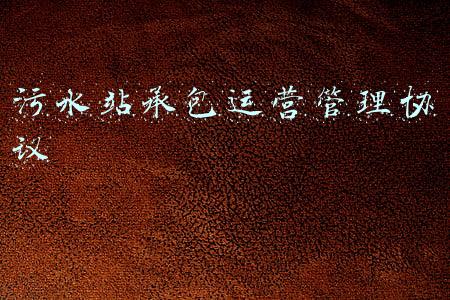 污水站承包运营管理协议