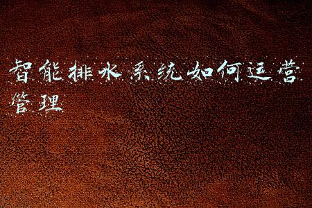 新型排水系统如何运营管理(浙江省台州市椒江区智慧排水一体化管控平台（一期）项目)