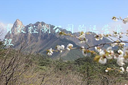 有效控制公司的运营管理