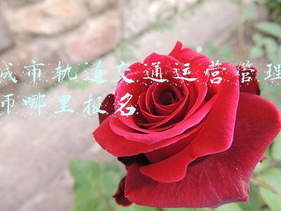 轨道交通运营管理师是什么(西安高新技师学院系部介绍（三）——轨道交通工程系)