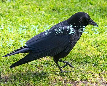 淘宝日常活动策划(漂亮！第3期—天猫淘宝双12活动策划PPT模板)