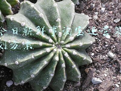 淘宝营销策划(淘宝商家省钱啦！最新规定，这四个营销工具免费用)