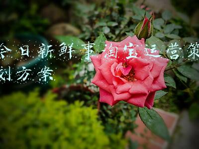 新鲜事(火车刚启动，列车长和乘务员就开始数钱……原来火车上的“新鲜事”这么多)