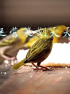 火影世界重新运营了吗(火影忍者手游运营五年后，魔方又拿到了一个大IP，准备登船了)