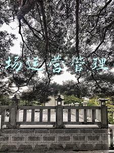 养鸡场运营管理方案