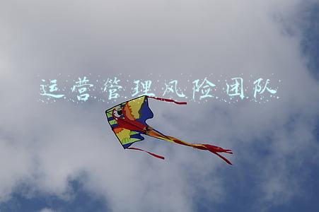 运营管理风险团队