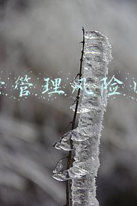 运营管理风险团队