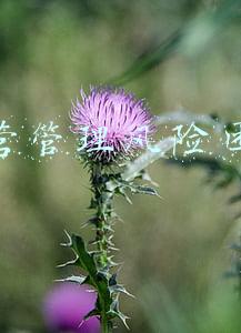 税收风险管理团队建设(老板如何搭建风险隔离公司？)