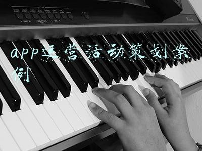 app运营活动策划案例
