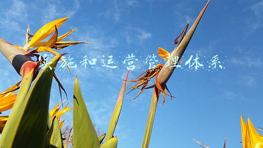 实施和运营管理体系