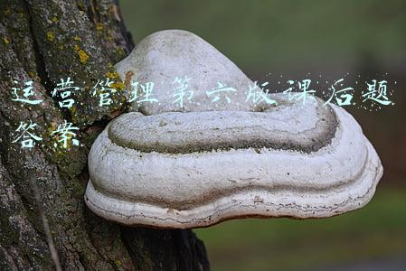 运营管理第六版课后题答案
