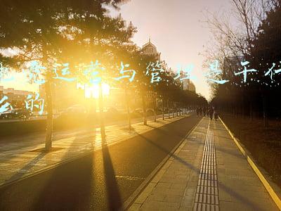 电竞运营与管理是干什么的