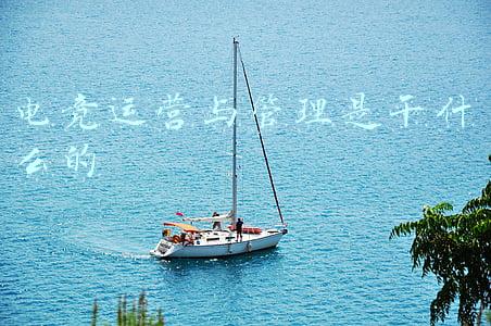 电竞运营与管理是干什么的