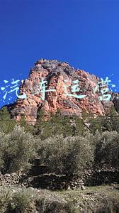一汽汽车运营管理