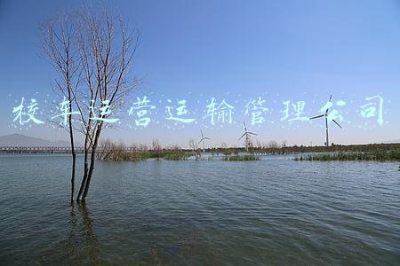 校车运营运输管理公司
