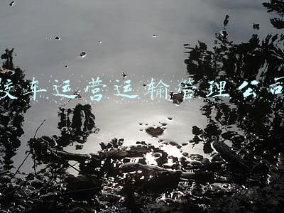校车公司电话(公交、长途、旅游包车一号通办！城运热线96650启用)