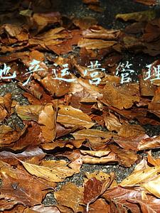 正荣地产运营管理中心蒋琪 正荣地产运营管理中心蒋琪