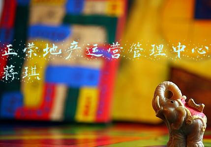 正荣地产运营管理中心蒋琪