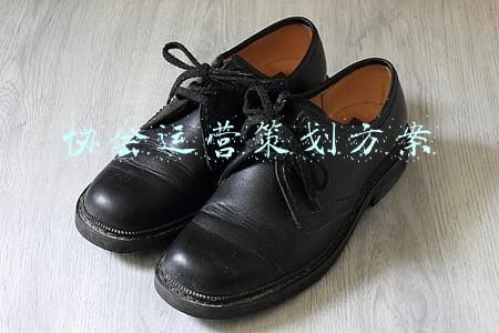 行业协会运营方案(关于《全国性行业协会商会章程示范文本》的解读)