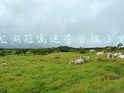 深圳市冠寓商业运营有限公司(“三年内不盈利”的龙湖冠寓到底赚不赚钱？)