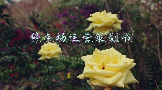 停车场运营策划书