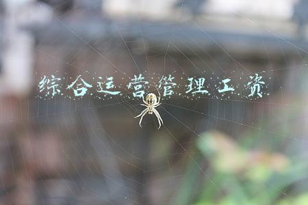 综合运营管理工资
