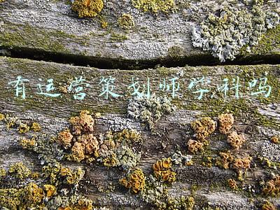 策划管理是学什么专业(走进天航 | 会展策划与管理专业)