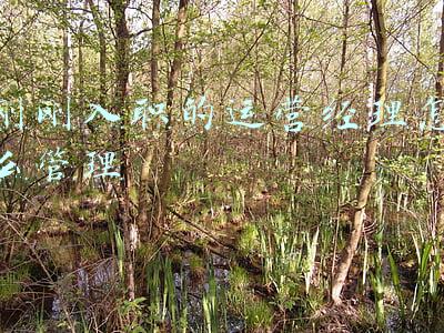 刚刚入职的运营经理怎么管理
