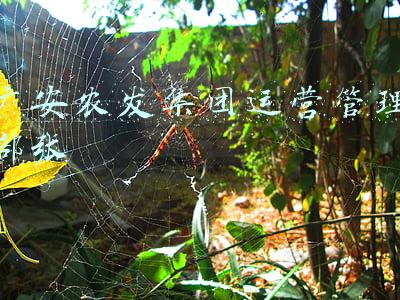 广安农业发展集团有限公司(广安农业发展集团有限公司党委委员、副总经理米永奇接受纪律审查和监察调查)