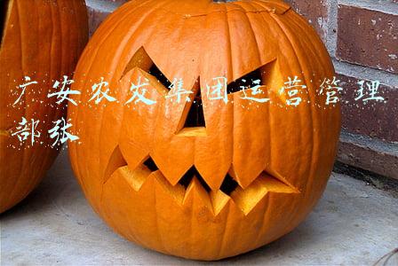广安农投企业管理服务有限公司(一只湖羊造就“东西情缘”浙川携手浇灌“致富花”)