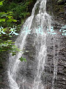 广安区农业农村局局长(广安市广安区发布一批人事任免，尹琪斯任区文化广播电视和旅游事业发展中心主任)