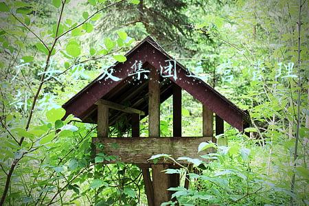 广安发展集团领导信息(何斌任广安发展建设集团有限公司董事长)